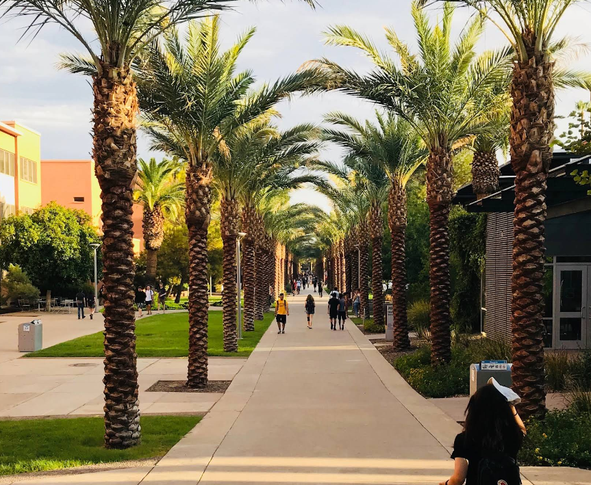 Arizona State University in Tempe, AZ